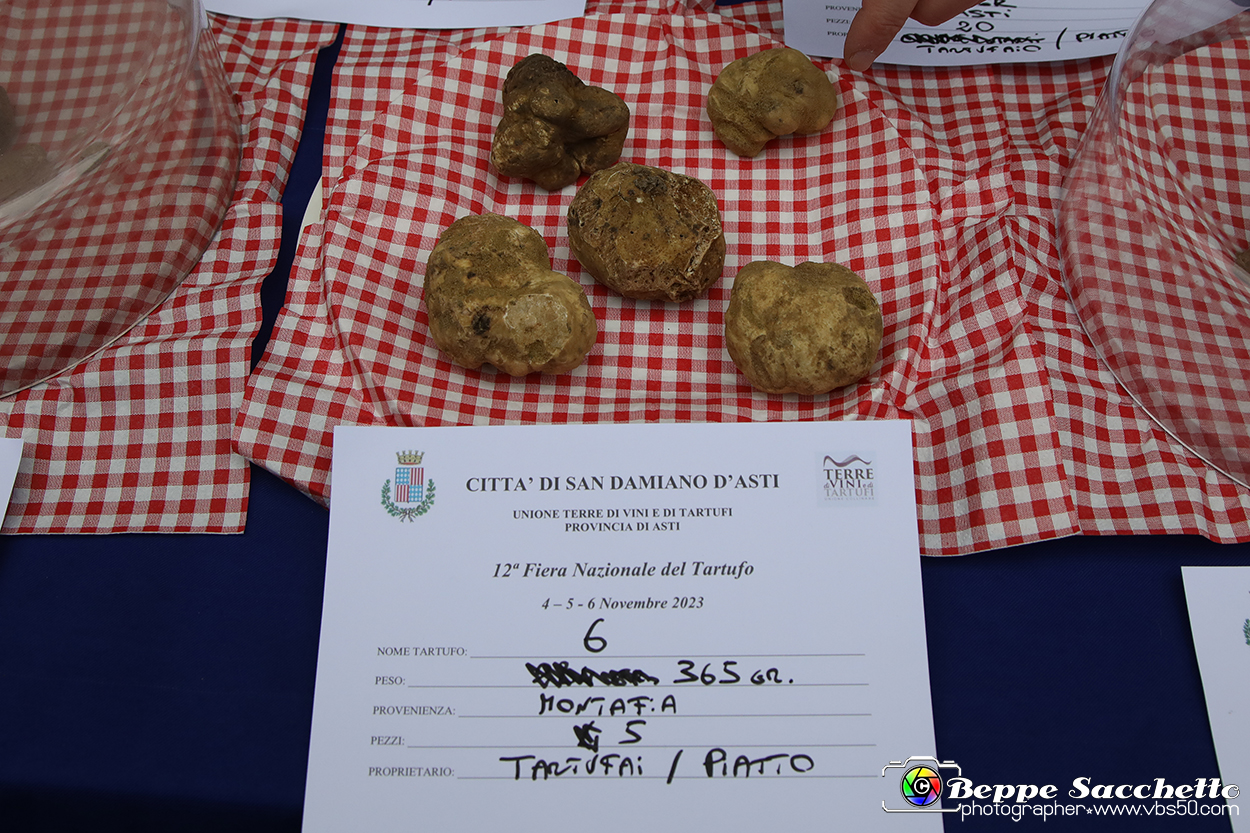VBS_6913 - Fiera dei Santi - 12.ma Fiera Nazionale del Tartufo.jpg